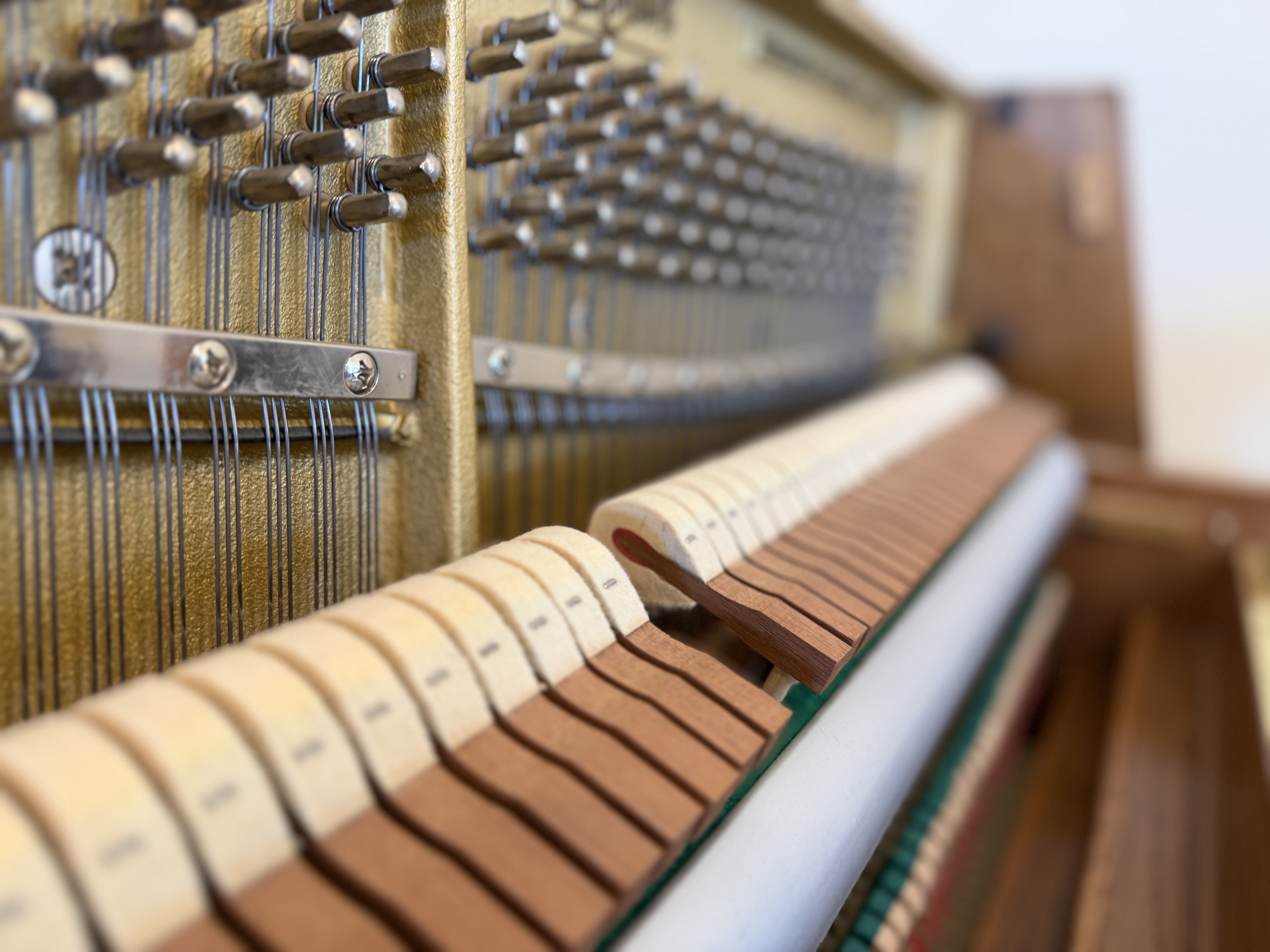 Boston UP-118 Upright Piano in Oak – Gallery image – Roberts Pianos Houston
