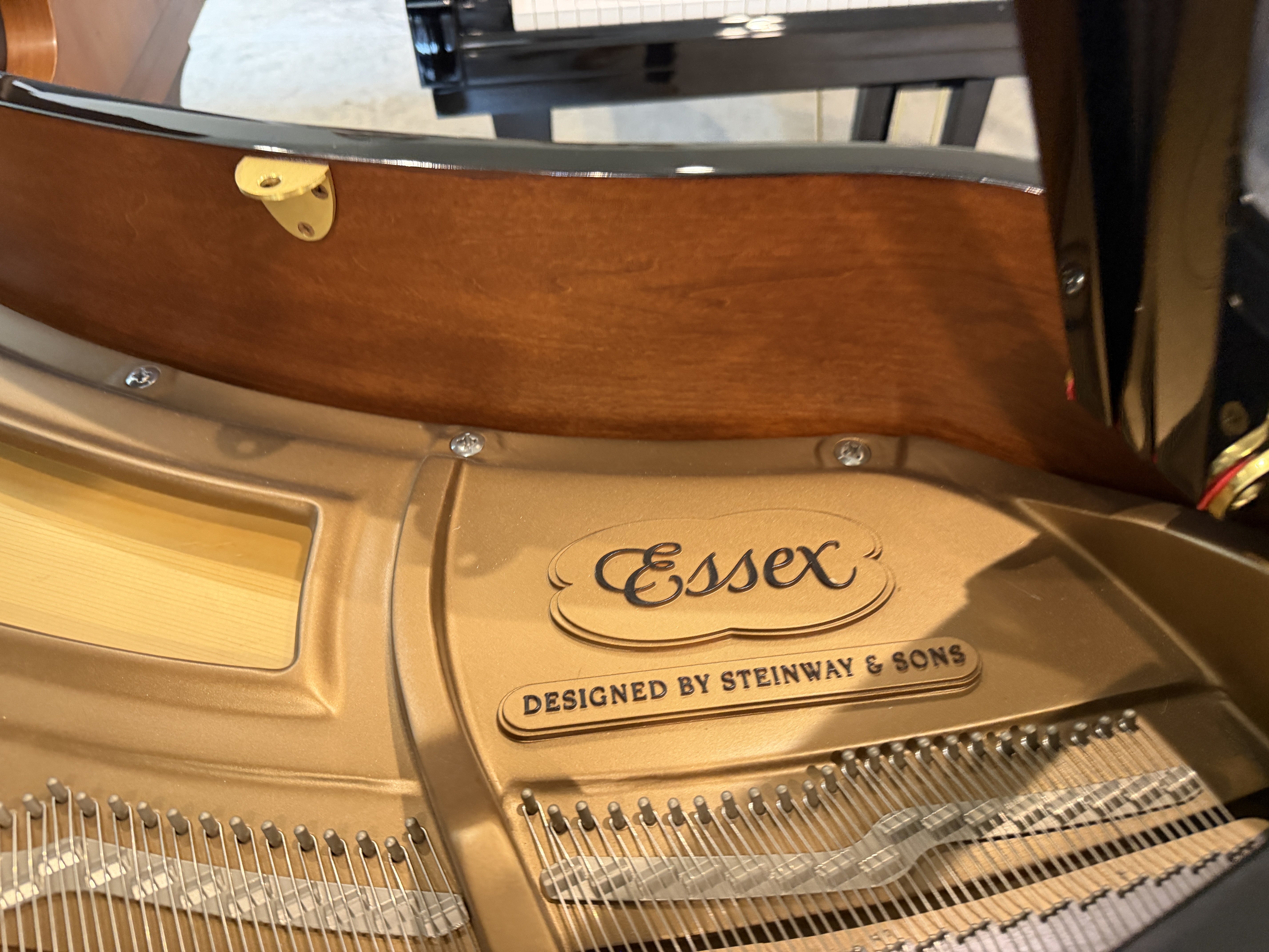 Essex EGP155 Grand Piano – Gallery image – Roberts Pianos Houston