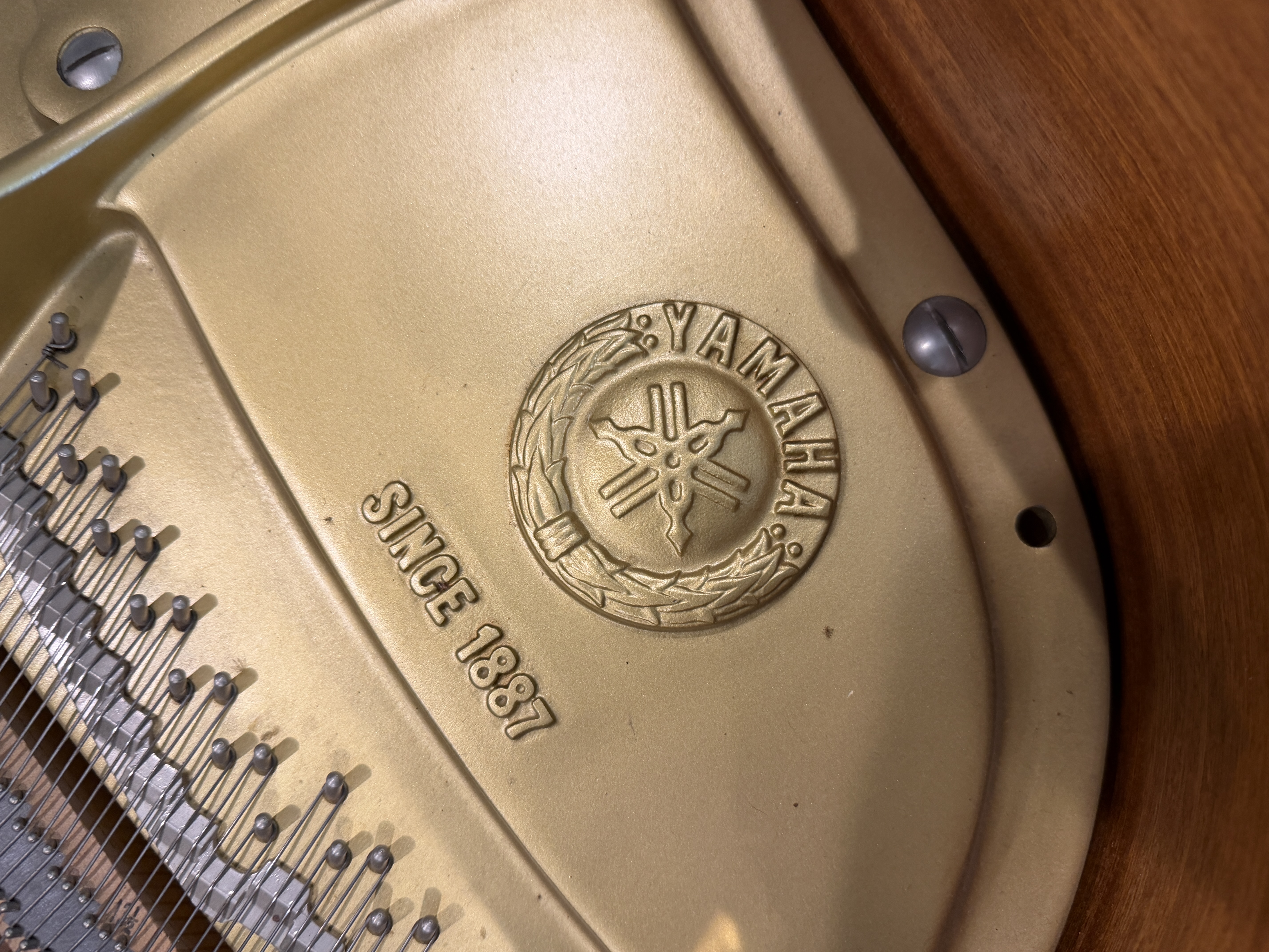 Yamaha C5 Grand Piano in Polished Ebony – Gallery image – Roberts Pianos Houston