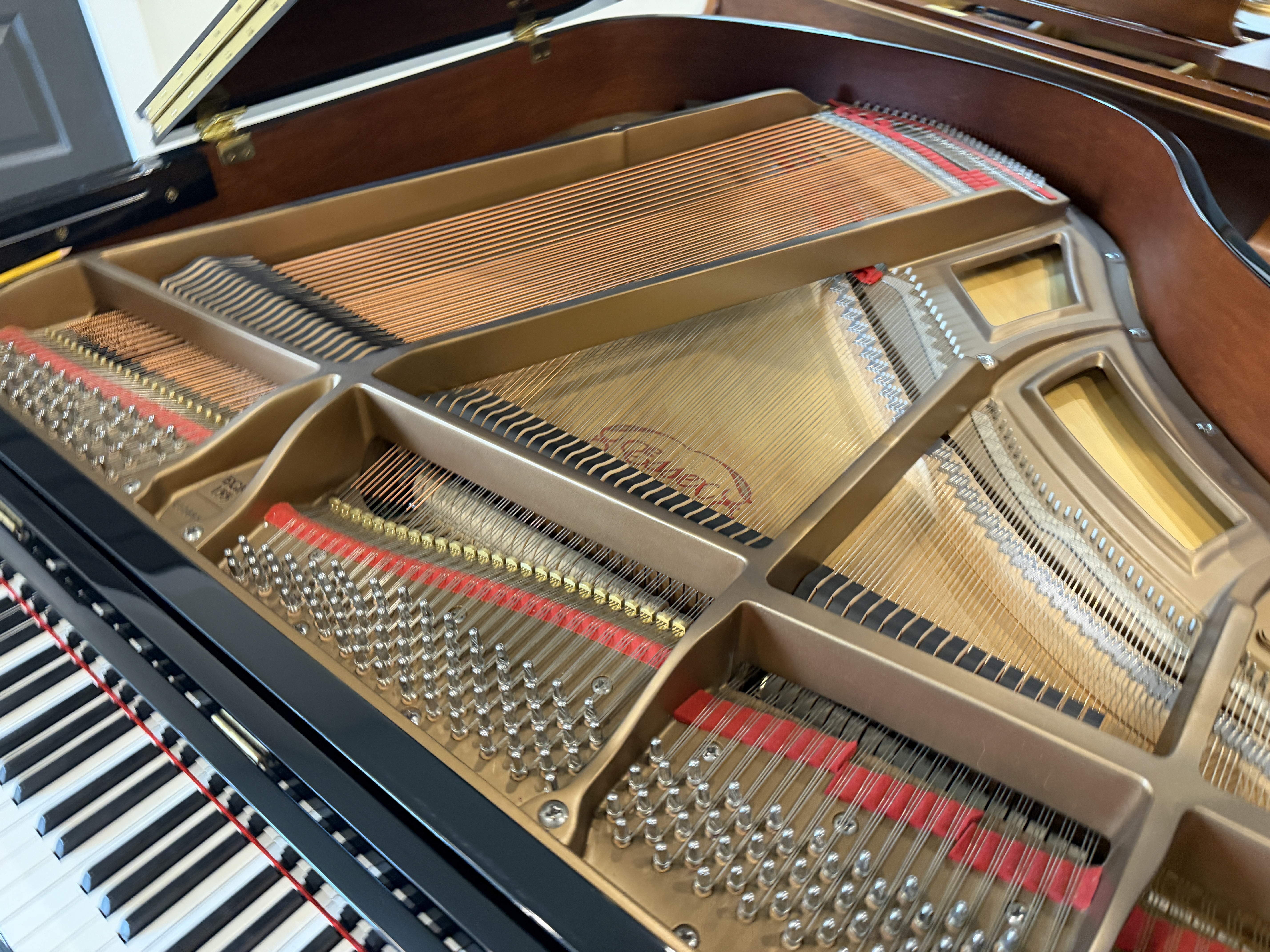 Essex EGP155 Grand Piano – Gallery image – Roberts Pianos Houston